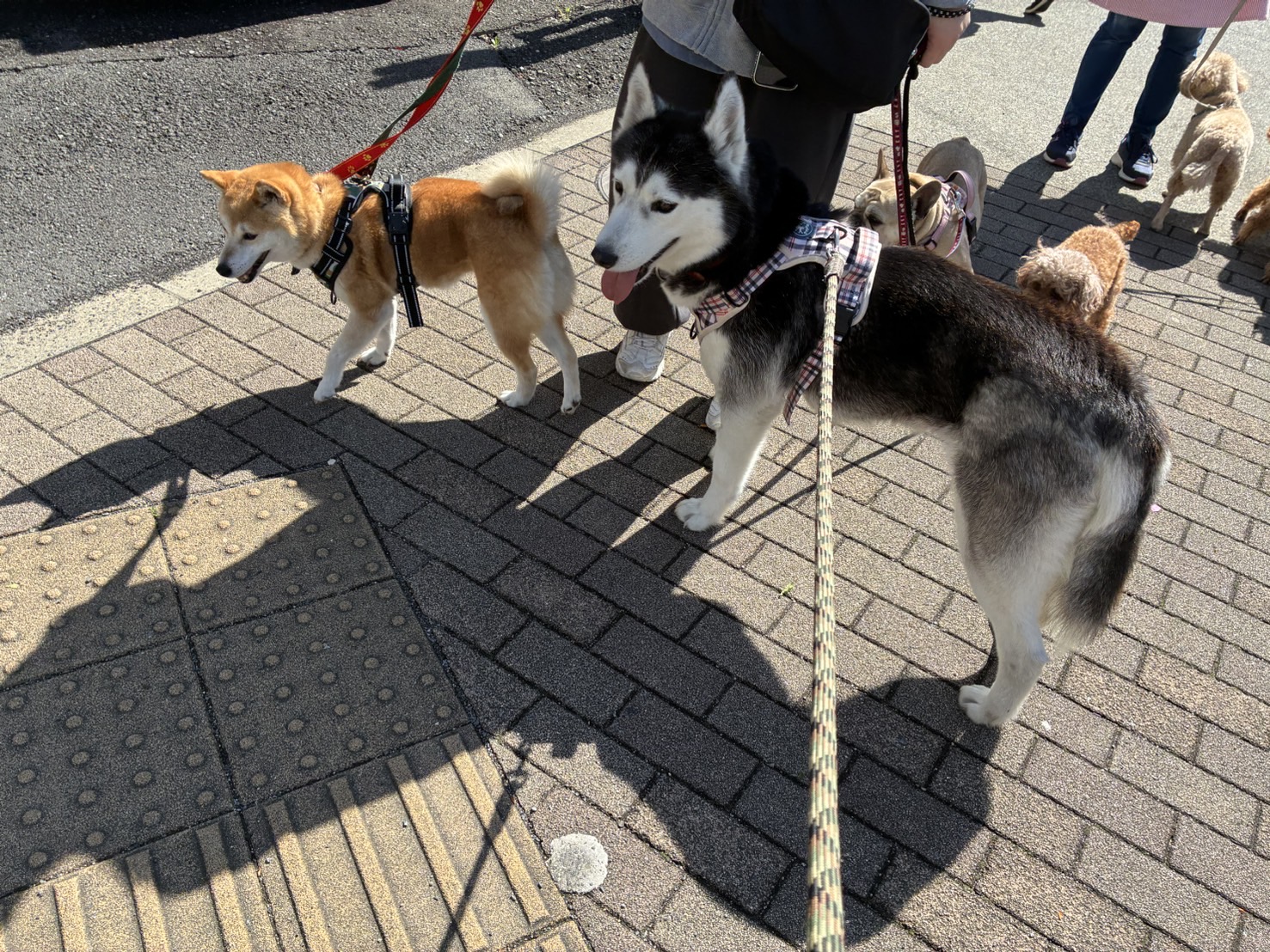 関連画像