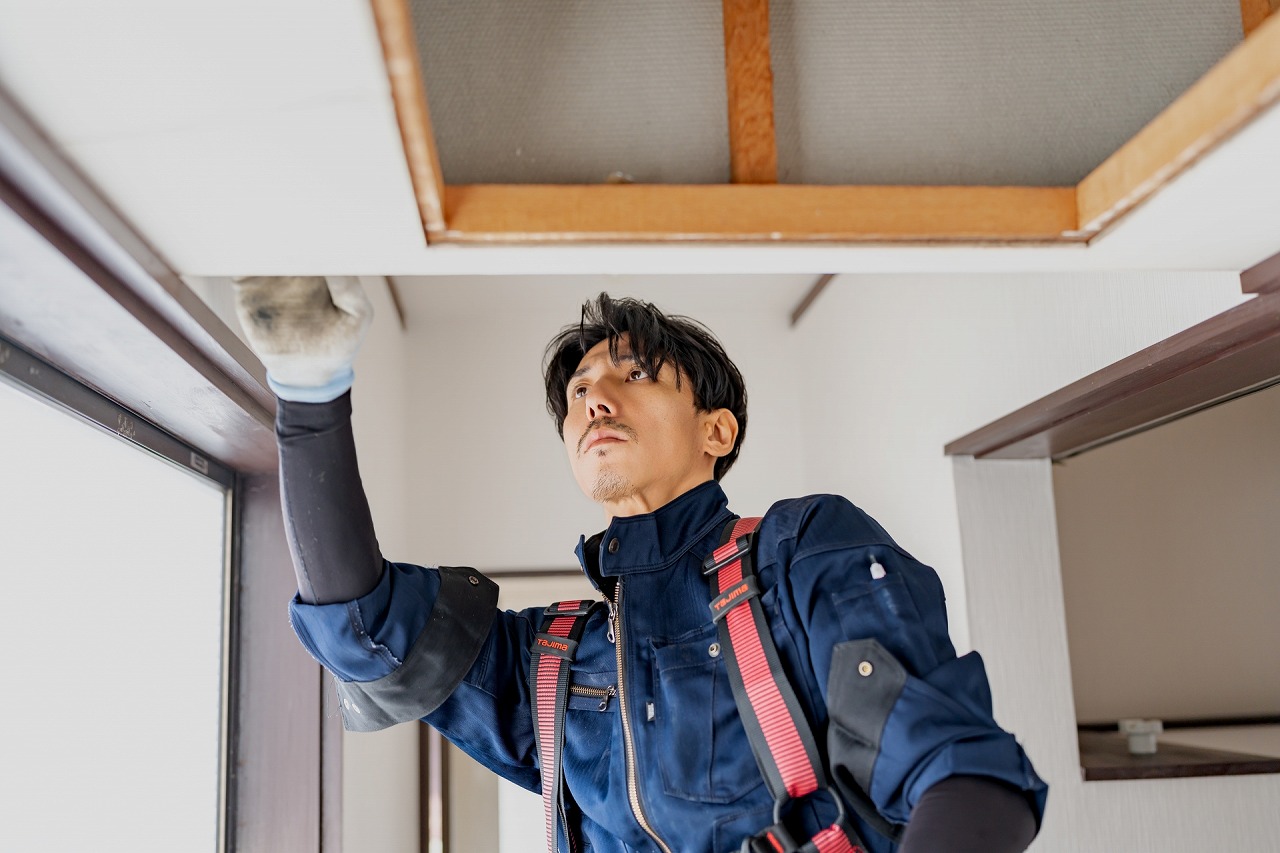 関連画像